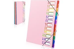 Gemtte Teczka z przegródkami A4, system segregatorów z 12 przegródkami, 24 kieszenie, teczka na dokumenty, kolorowa, wodoodporna, do szkoły, na artykuły biurowe (różowa)