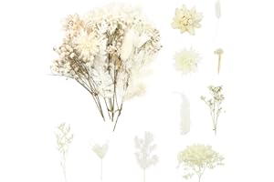 ANLIOTO Trockenblumen Weiß, Mini Trockenblumen Klein Beige zum Basteln Deko für Getrocknete Blumen Hochzeit Deko