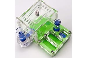 ZHL Nid Fourmis Insectes Naturels Fourmilière AntHouse Château Ferme D'élevage Boîte Formicarium avec Château d'eau Hydratant (Color : Green)