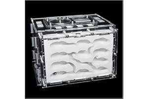 MTFZD Insektenvilla Ameisennest Acrylbox Ameisennest Insektenkäfig Gips Ant Farm Insekt Villa Educational Formicarium Für Haus Ameisen Geburtstagsgeschenk (Size : L)