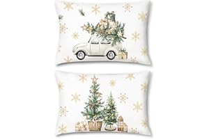 Bonhause Zimowe świąteczne poszewki na poduszki 30 x 50 cm, choinki, pudełka na prezenty, ciężarówka, płatki śniegu, dekoracyjne poszewki na poduszki na sofę, łóżko, do domu, patio, dekoracja