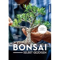 Bonsai selbst gezogen: - aus heimischen Bumen : Stahl, Horst, Rger,  Helmut: Amazon.de: Bcher