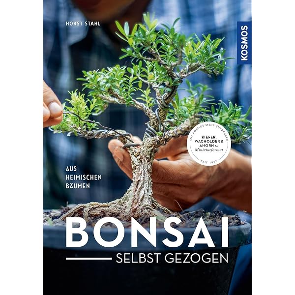 Bonsai aus heimischen Bumen und Struchern: Anzucht, Gestaltung, Pflege :  Busch, Werner M.: Amazon.de: Bcher