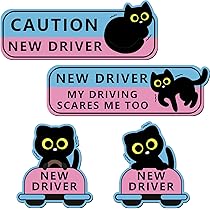 Lot De 4 Aimants En Forme De Chat Pour Voiture - Motif Chat