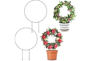 BREMOROU Podpórka do roślina pokojowych i pnących, 2 sztuki, dla małych roślin doniczkowych