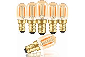 E14 LED Vintage-lampa Varmvit 1W, T22 Mini Tube-lampa Ersättning för 10W Glödlampa, 100LM 2200K Bärnstensfärgat Glas, Bärnstensfärgad E14 Glödlampa Nattlampa Kylskåpslampa, Ej Dimbar, 6-pack