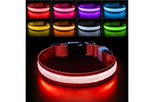 PCEOTLLAR ObrożA Led Dla Psa 7 Zmian KoloróW Akumulator Wodoodporna MgłA MałE śRednie DużE Psy Super Jasne Dla BezpieczeńStwa W Nocy - Czerwony -M