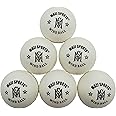 Mozi Sports Windball Soft Cricket Balls-Durable Realistic Bounce & Swing-Cricket WindBalls for Indoor & Outdoor Coaching,Practice, Garden & Beach play
