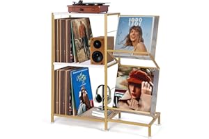 HYCFYJR Supporto per giradischi in vinile con contenitore vinile, ripiano a 2 livelli e telaio in metallo