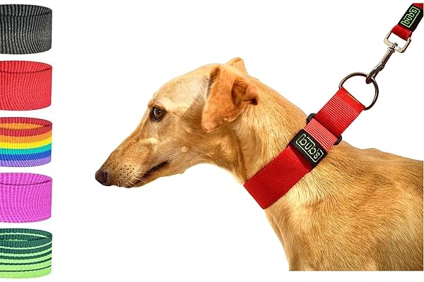 bub's Collar Martingale - Collar para Perro, antialérgico y Suave.Diseñado para Todo Tipo de Razas de Perro y Especialmente para Galgos y Podencos (Rojo, L 40 mm Ancho)