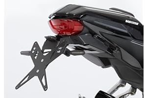 FECHTER DRIVE MOTORSPORT GMBH PROTECH X-Shape Kennzeichenhalter kompatibel mit Honda CB650R 2019-2020 RH02