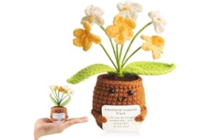 iewrtcin Emotional Support Crochet Positivity Gifts,Crochet Flower Pot Plant,Handmade Crochet Emotional Support Plant Suitable for Gifts for Boys and Girls,Office Decoration,Room Decoration (Green)