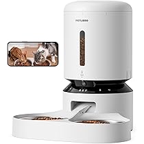 Distributore Automatico Del Cibo E Mangiatoia Per Cani: Perché Sono Utili