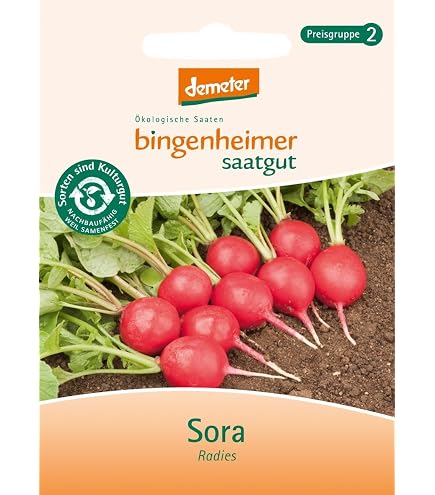 Bingenheimer Saatgut - Mhre Rodelika - Gemse Saatgut / Samen : Amazon.de:  Garten