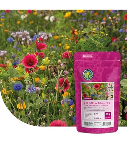 Blumenmischung Original Mssinger Sommer fr 6 m von Saatgut-Manufaktur :  Amazon.de: Garten