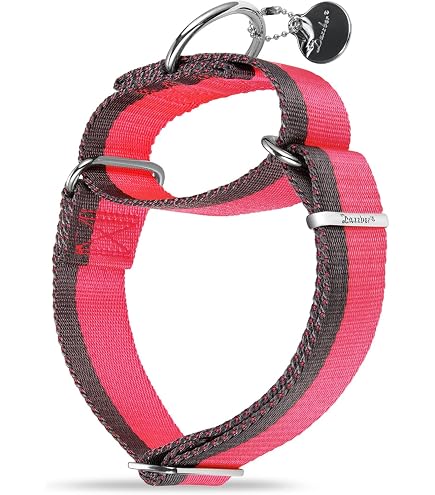 Verstellbares Martingale-Hundehalsband Aus Nylon – Sichere Führung Für Aktive Hunde (versch. Größen)