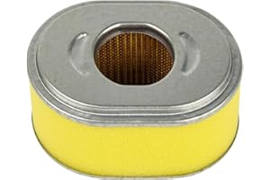 CARKIO Filtro de Aire de Recambio para Motor de Beehive, para GX110 GX120, números 17210-ZE0-822, 17210-ZE0-820, 17210-ZE0-505