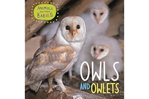 Owls & Owlets (Animals and their Babies)