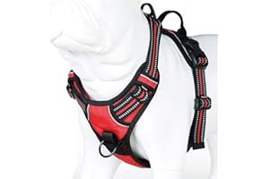 MOKCCI Truelove Soft Front Dog Harness .Reflective No Pull Harness with Handle and 2 Leash Attachments