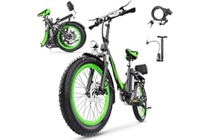 ONESPORTLIFE Hidoes C1 Foldable Electric Bike, 20" Portable Ebike with 48V (624Wh) Removable Battery, Electric Bike 250W Motor with Adjustable Shock, Spring-Loaded Seat and LCD-Display, Folding Bikes for Adults