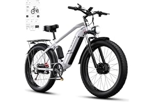 DUOTTS F26 VTT Electrique Homme Adulte Double Moteurs, 26 × 4 Pouces Fat Tire Bike Electrique avec Batterie Amovible 48V 18Ah jusqu'à 40-99km Tout-Terrain VTT Plage Neige, Amortisseur Hydraulique