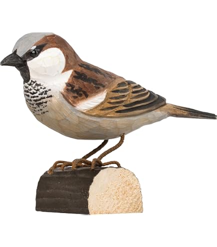 DecoBird Finch Wildlife Garden : Wildlife Garden