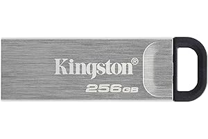 Kingston DTKN/256GB, Pamięć USB, 256 GB, Szary