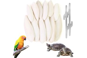 CTYUEYUN 12 Pieces Cuttlefish for Birds, 7-9cm/11-13cm Cuttlefish Bones, Sepia Shell for Turtles, Snails, Parakeets, with 2 Metal Holders Natural Bird Toys, Calcium and Mineral Supplement