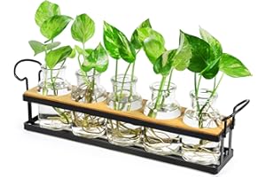 THYGIFTREE Pflanzenterrarium mit Metallständer, Glas Reagenzgläser mit Metallständer Für Blumen Mit Ständer Holz -pflanze im glas Propagation Station Für Deko Wohnzimmer Outdoor Taufe Schreibtisch deko