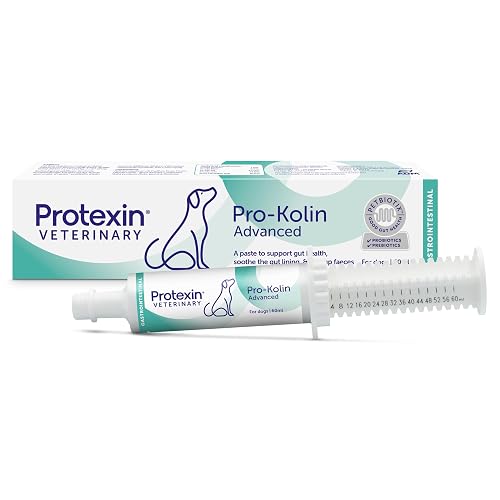 Protexin Veterinary Pro-Kolin Advanced for Dogs Advanced for Dogs, 60 ml | Probiotic & Prebiotic Digestive Support, Fast-Acting Paste, Soothes Gut Lining, Helps Firm Up Stools, Vet Recommended