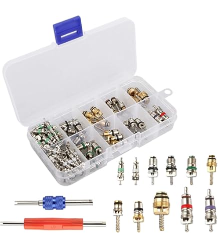 51-Piece AC Valve Core Kit With Tool - Works With R12 & R134a Systems For Car & Home AC Repair