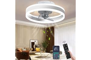 Wildcat Ventilatore da soffitto con illuminazione, LED moderno e silenzioso, con telecomando, timer, lampada da soffitto per soggiorno, sala da pranzo (colore: bianco, dimensioni: 40 cm)