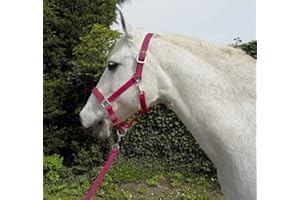 Rhinegold Carnival Headcollar & Matching Rope Set