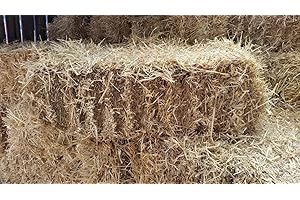 Fleet Farm Barley Straw Bale - Feed Quality. Full Bale, approx 35in x 15in x 14in, 18kg. Next Day DPD Delivery.