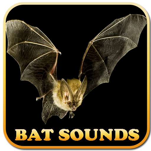 Bat Sounds Amazon.co.uk Appstore for Android