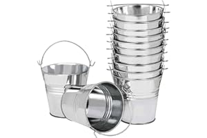 LATERN 12Pcs MINI Metal Hanging Flower Pots, 6CM Plant Pots Hanging Flower Bucket with Detachable Handle for Balcony Fence Garden Home Decor (Silver)