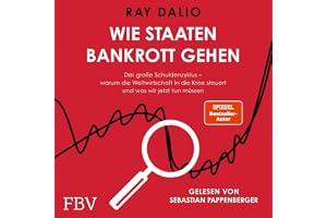 Wie Staaten bankrott gehen: Der große Schuldenzyklus – warum die Weltwirtschaft in die Krise steuert und was wir jetzt tun mü