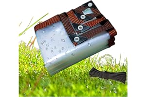 FWTXZTER Telo Impermeabile per Esterno, 3x4M Telone Trasparente in PE Impermeabile da con Occhielli, Robusto Copertura Teloni per Giardino Gazebo Pavilion Terrazza
