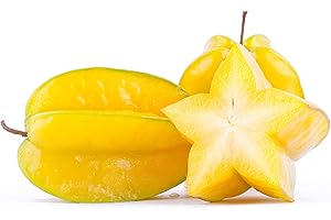 MY EXOTIC FRUIT Starfruit X1 - Exotic fruit - Fresh from Malaysia