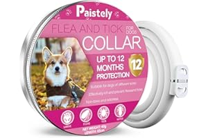 PAISTELY Collier Anti-puces pour Chien, Collier Anti-puces sûr et Efficace pour Chiens composé d'huiles essentielles Naturelles, efficacité 12 Mois Collier Anti-tiques pour Chiens (65cm) (40g)