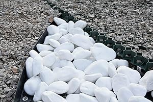 THASSOS TRANS-PAL Decorative Natural Marble EXTRA WHITE 20-40mm 20 kg Pure White Pebbles Stones Gravel Chippings Landscape