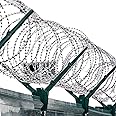 Tejas Fence Concertina Coils 600 MM Dia for boundry Wall and Property Safety Fencing Wires for Security Use in Border Security | Openable 6 Meters Approx. 50 Rounds