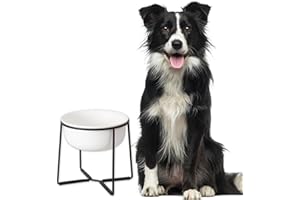 AHX Comedero Perro Elevado Grande Cerámica - Cuenco Perro con Soporte de Metal Antideslizante - Comedero Alto para Perro - Plato Perro Comida y Agua - Bol para Perros Medianos y Grandes - 1600 ml - Blanca