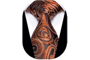 YourTies 3.15'' Men's Necktie Paisley Floral Silk Ties for Men Formal Business Party Tie