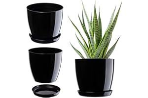 KADAX Maceta con plato, maceta redonda para interiores, elegante maceta de plástico, maceta ligera para flores y plantas para el hogar (16 cm de diámetro, color negro)