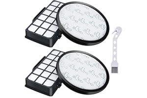 LEADAYBETTER Lot de 2 Filtres HEPA pour Rowenta X-Trem Power Cyclonic RO6984EA RO6941EA RO6963EA RO6921EA RO6971EA RO6993EA (Modèle RO69XX) Aspirateurs, Filtre de Rechange Accessoires ZR006001