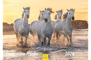 ‎EDITION SEIDEL Edition Seidel Premium Kalender Faszination Pferde 2024 DIN A3 Wandkalender Pferdekalender Tiere Pferde Pony Stute Fohlen Natur Landschaft Sonne Strand Weide Koppel Meer