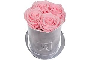 Emmie Gray Classic Infinity ROSENBOX | Velvet Gray | Runde Flowerbox - Infinity Rosen in Grauer Samtbox - 1-3 Jahre Haltbarkeit - Echte Rosen, die jahrelang blühen - Haltbare Rosen (XS, Bridal Pink)