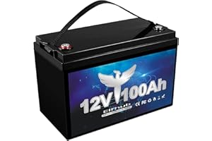 ‎ELFHUB Elfhub LifePO4 Akku 100Ah 12V mit über 8000 Tiefzyklen und BMS, Autobatterie für Solaranlage, Wohnmobil, Boot, Haushalt, Solarpanel Kit und Camping, Lithiumbatterie wiederaufladbar