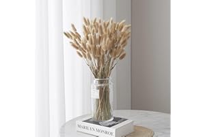 GIUSOBG Code di Coniglio Erba della Pampa 60 Pezzi Pianta Boho Fiori Secchi Naturali, Pampas Decorative per Decorazioni Casa Tavola Matrimonio (Colore primario)